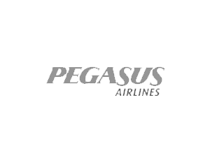 pegasus